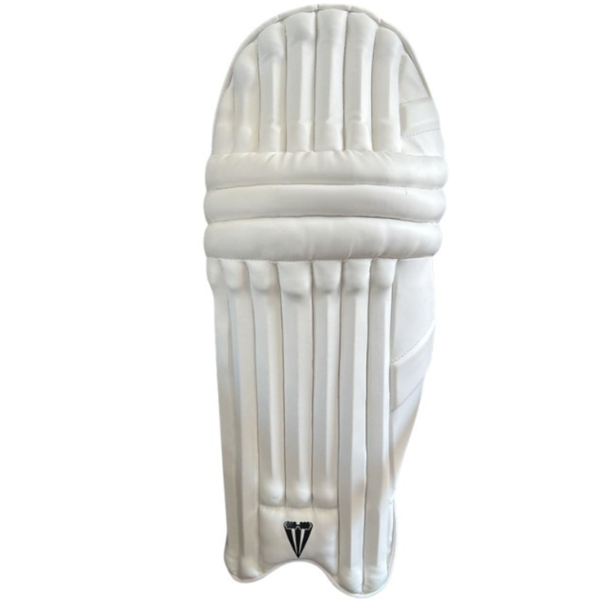 Duncan Fearnley Ignite Batting Pads