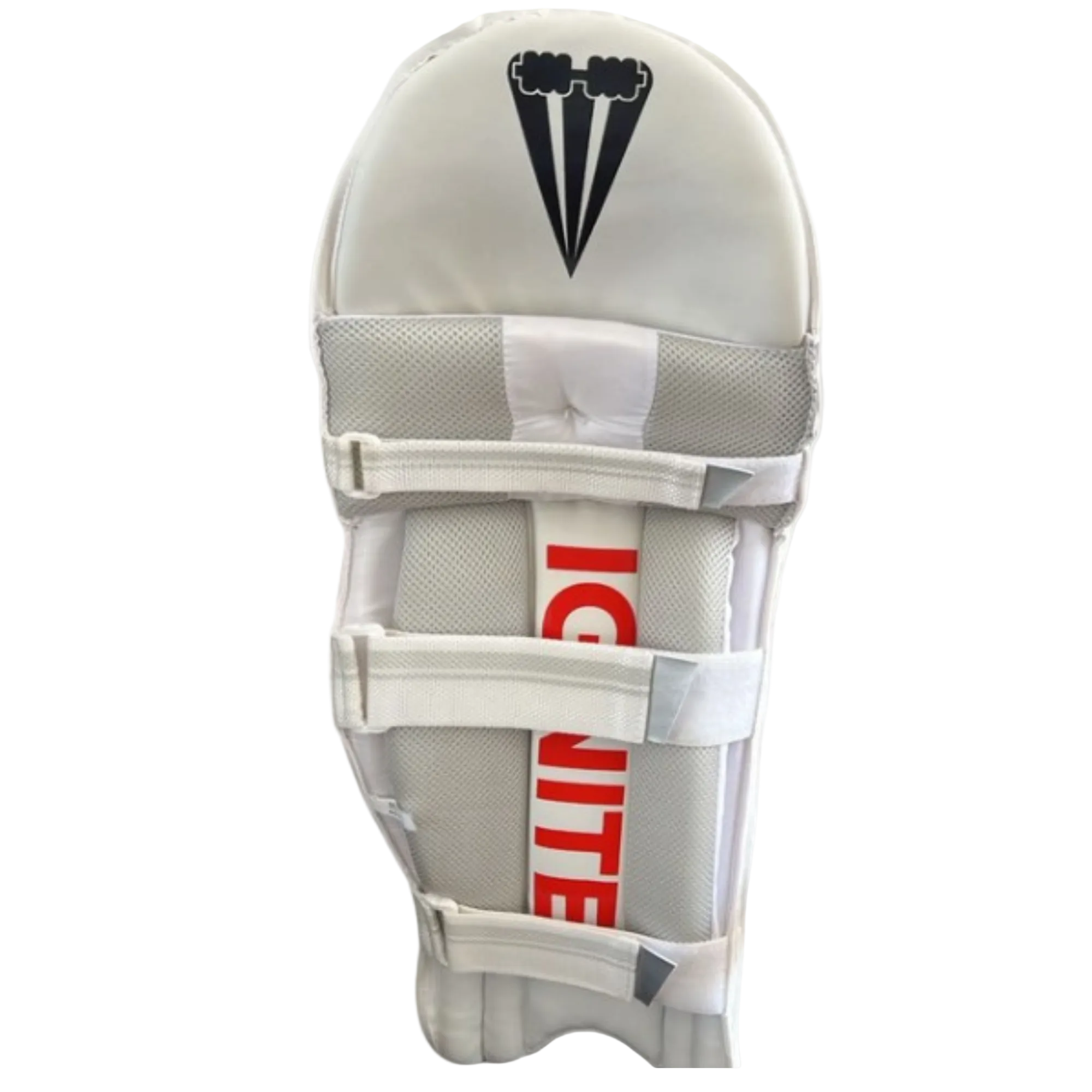 Duncan Fearnley Ignite Batting Pads